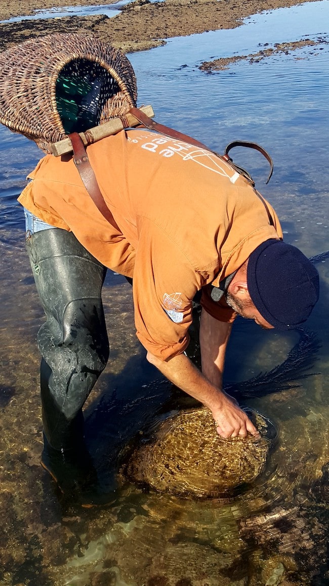 pêche à pied oléron règlementation