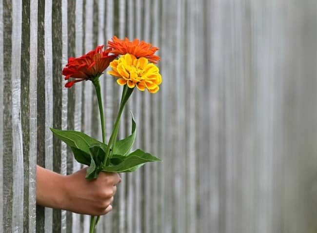 offrir un bouquet de fleurs