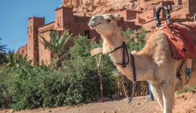 vacances au Maroc à Ouarzazate