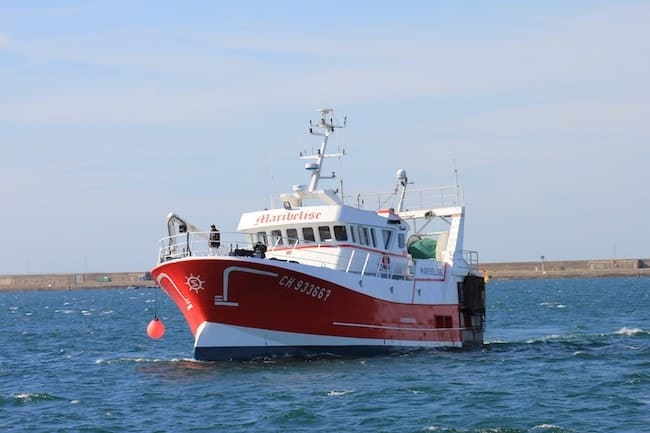 service de livraison de poisson frais à domicile