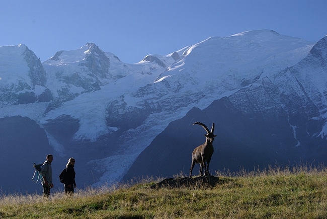 Parc de Merlet Les Houches