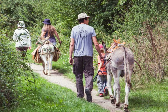 Balade en ânes en famille dans le parc naturel du Vexin français