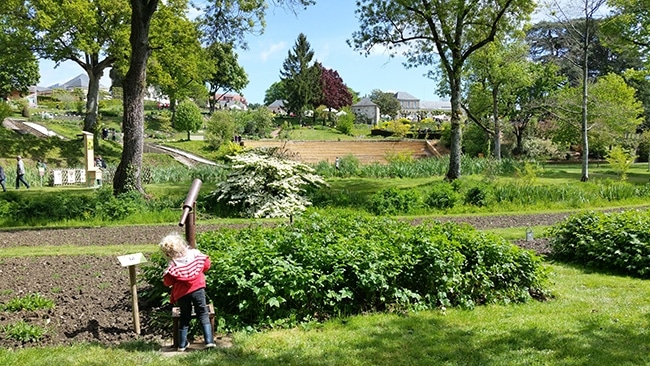Jardin Camifolia à Chemillé-en-Anjou
