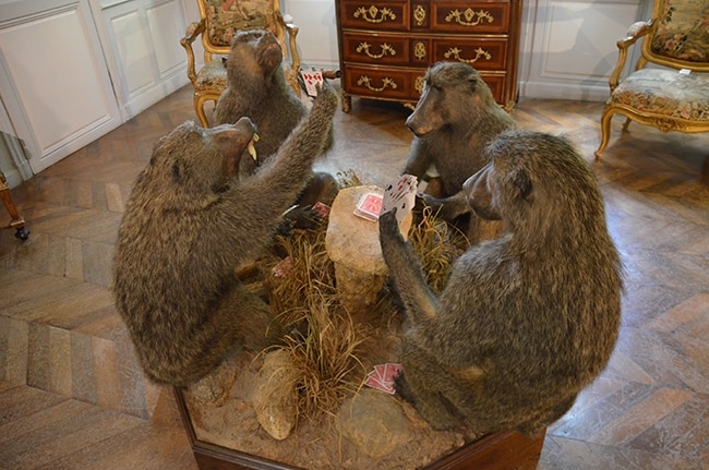 Musée Jean de la Fontaine à Château-Thierry