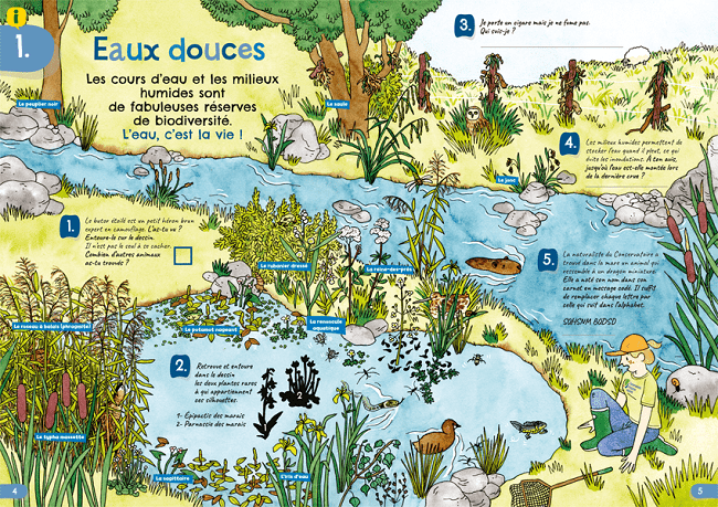 cahier d'activités dès 8 ans pour découvrir les milieux humides de manière ludique