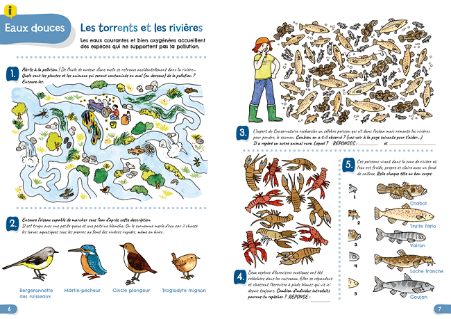 des jeux pour sensibiliser les enfants à la protection de la faune et de la flore