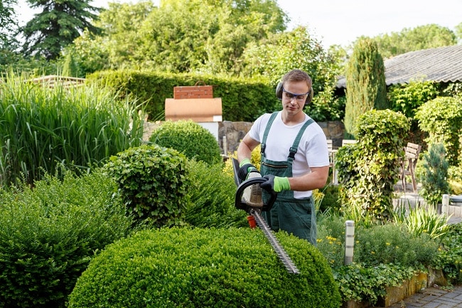 faire appel à un professionnel pour l'entretien du jardin