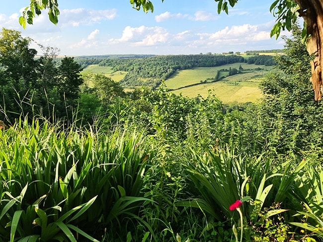 Flavigny sur Ozerain, panorama