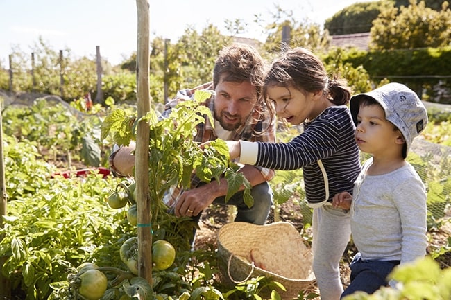 jardin potager famille