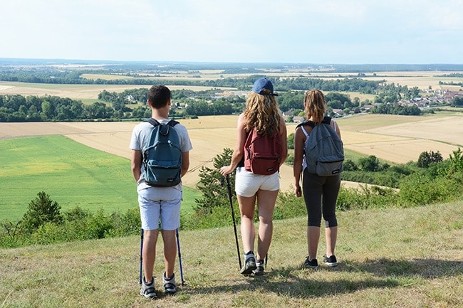 Le Mont Lassois en Côte d'Or