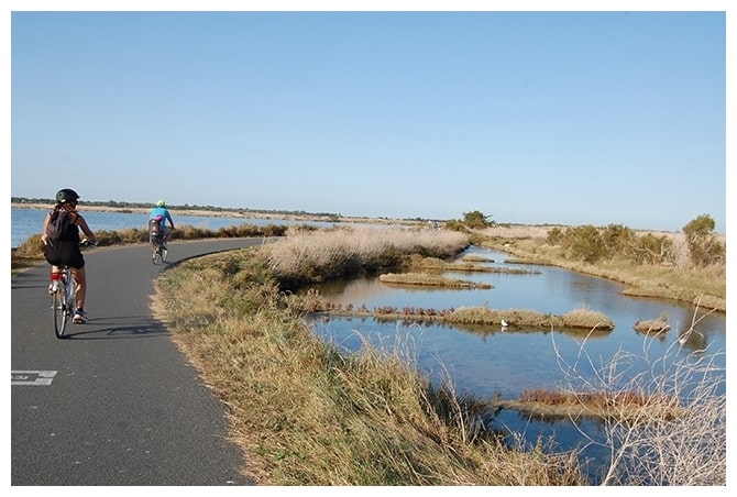 les Portes en Ré à vélo en famille