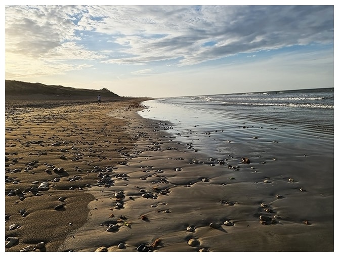 plage de Gros Jonc Le Bois Plage en Ré ré hors saison