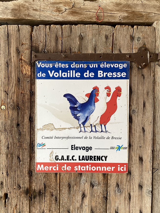 élevage volaille de Bresse Gaec Laurency