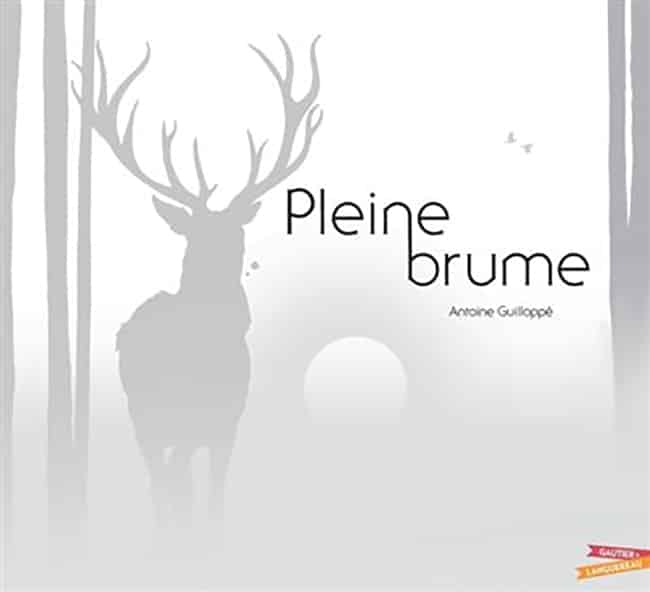 Plein brume, album jeunesse noir et blanc