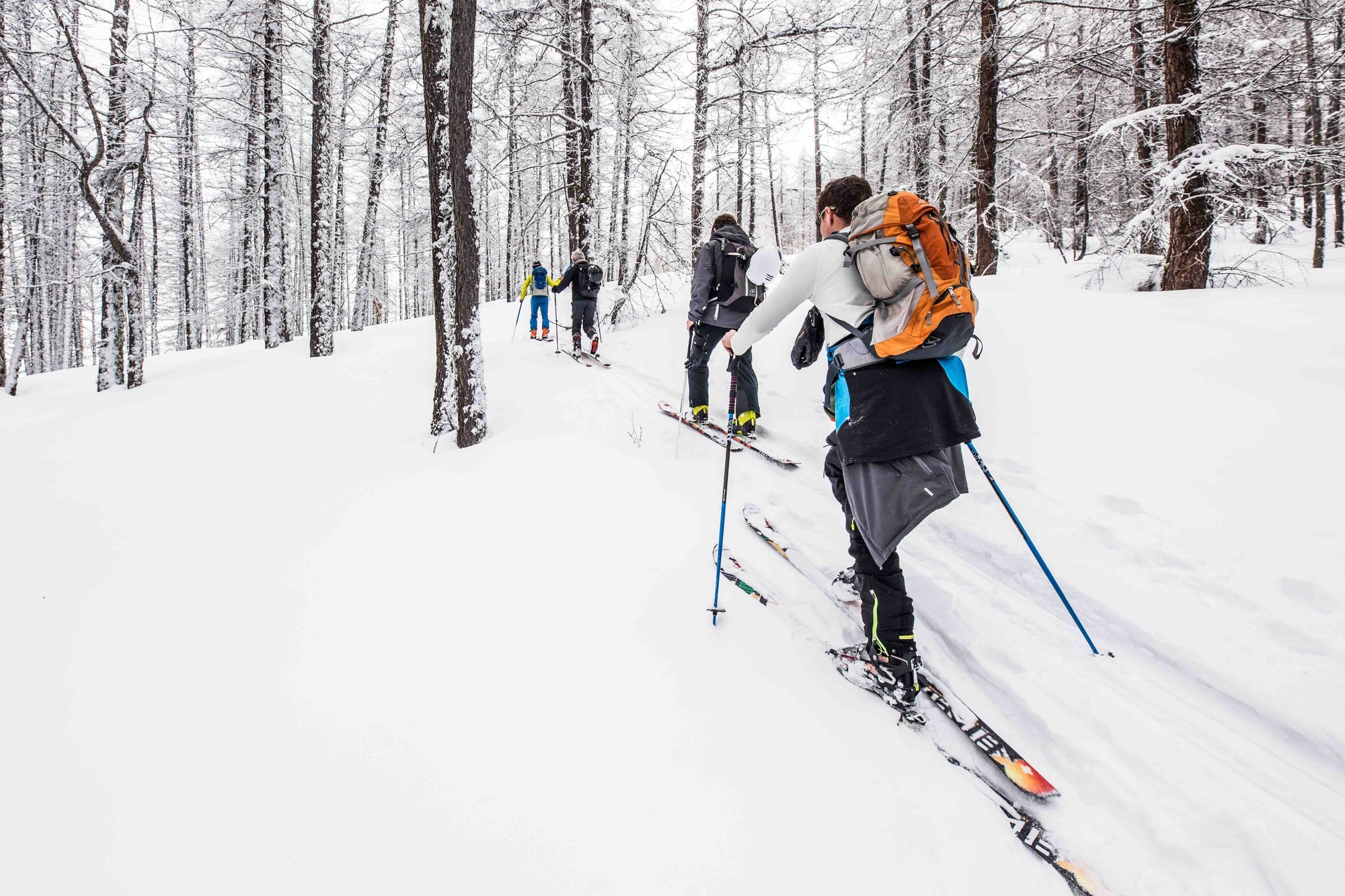 ski de randonnée Pays des Ecrins