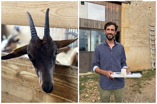 Ferme des biens vivants bresse