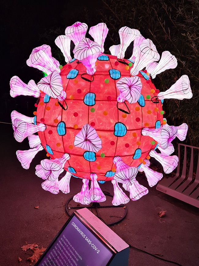 virus illuminations noel jardin des plantes