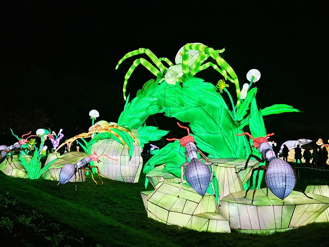 illuminations jardin des plantes 2022