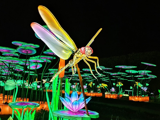 jardin des plantes illuminations horaires