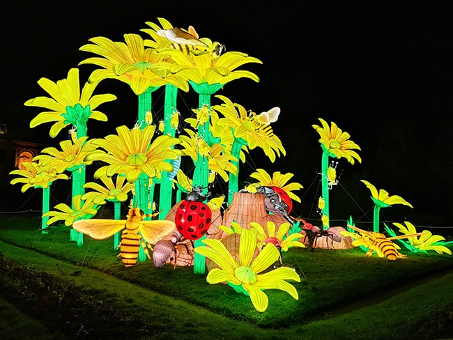 deambulation nocturne jardin des plantes paris