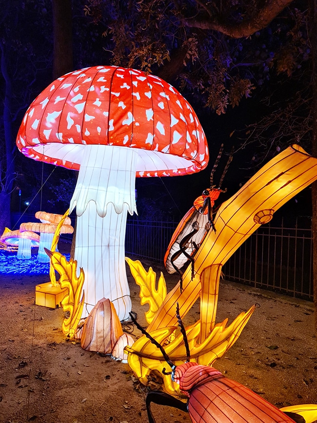 mini mondes en voie d'illumination
