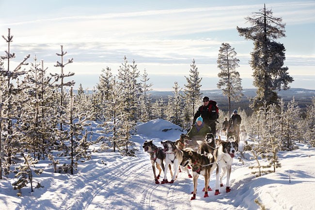 traineau à chiens activité hors ski