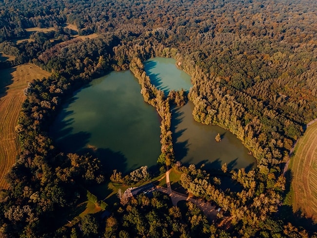 cabane dans les arbres forêt de compiegne