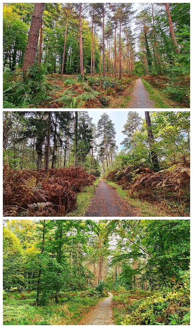 foret de compiegne a velo