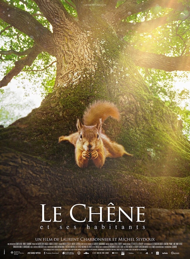 Le Chêne film avis