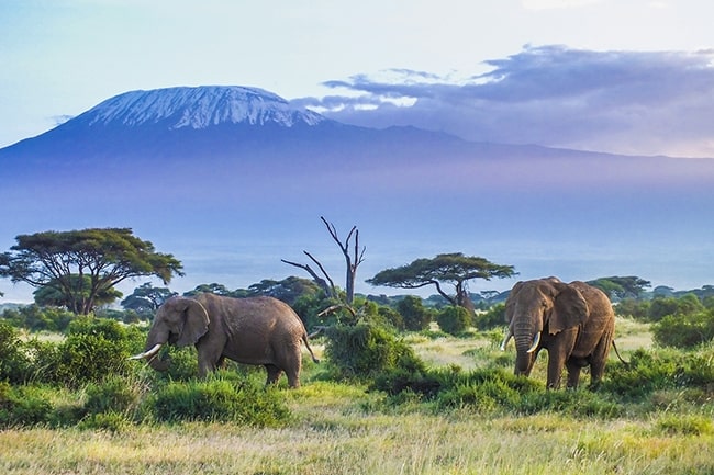 vacances en tanzanie en famille