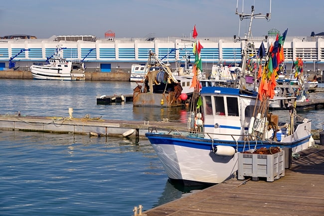 O'Poisson vente de poisson en ligne