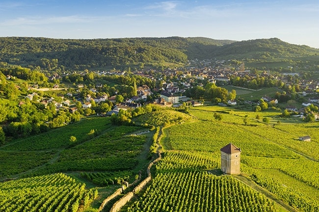 Arbois Jura vignes