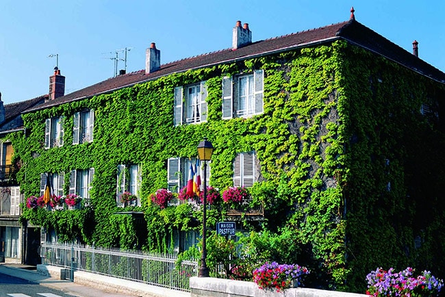 Maison de Louis Pasteur Arbois