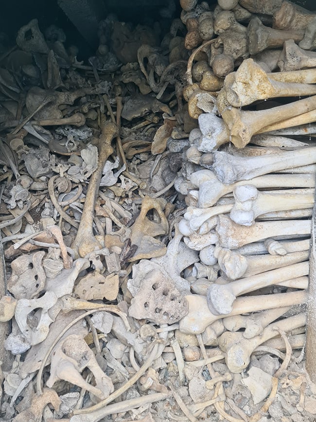 ossuaire de la bataille de verdun