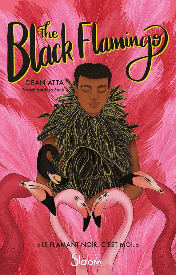 black flamingo roman ado autour du genre