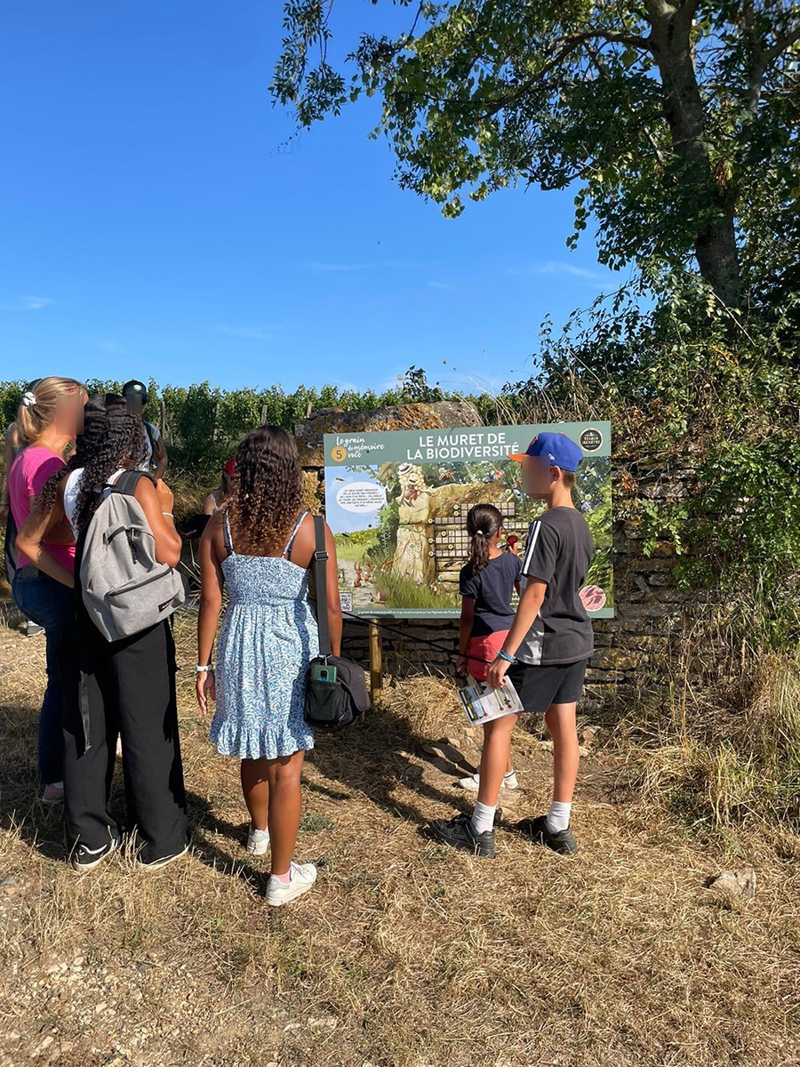 jeu de piste familial dans les vignes saone et loire