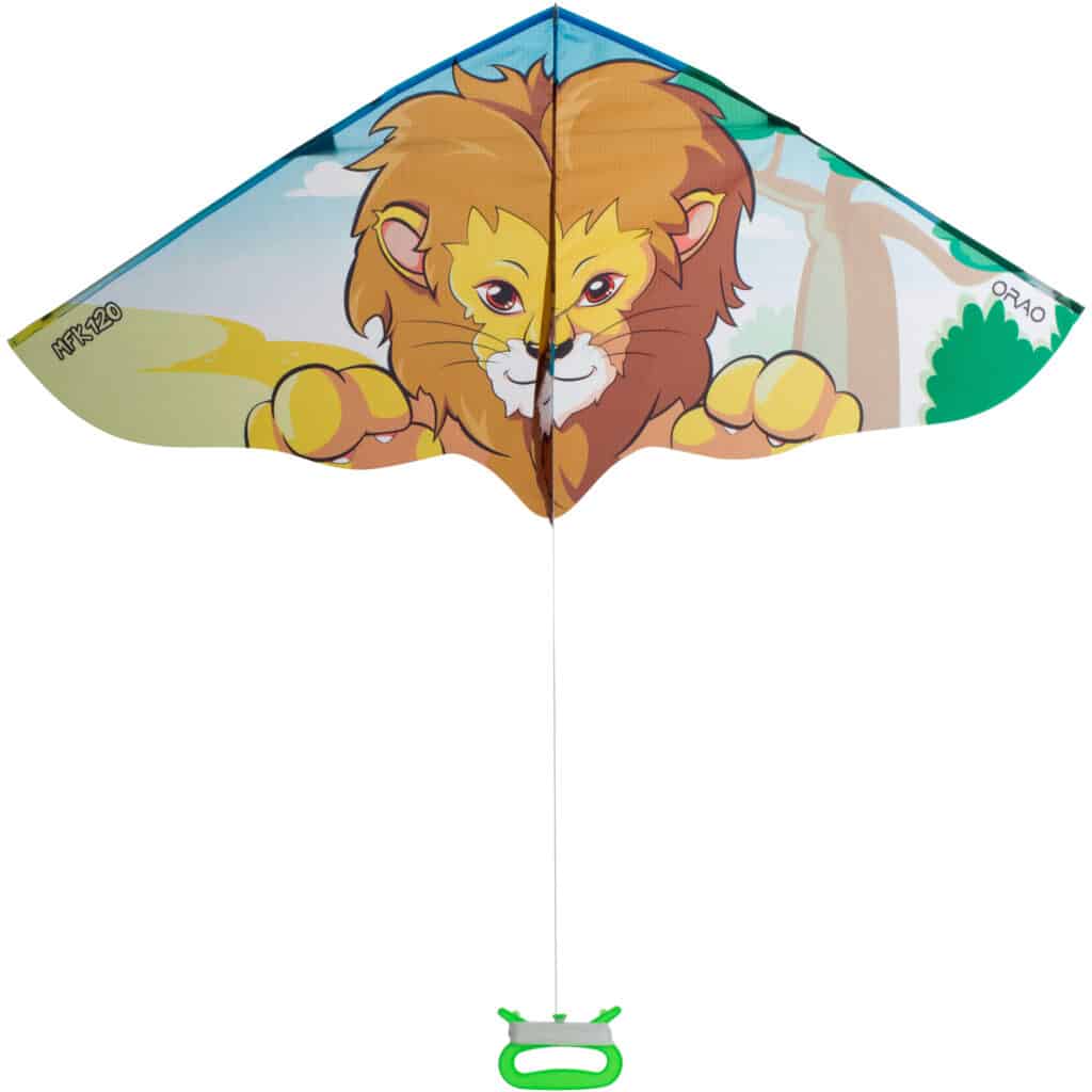 Cerf-volant Hibou Pliable 55x115 Cm – Polyester 190T – Idéal Plage Et Parc – Enfant Dès 3 Ans