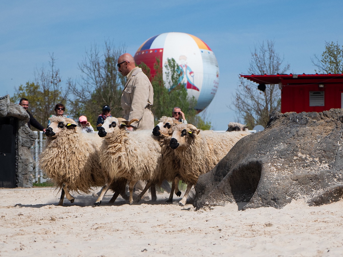  parc du petit prince animaux
