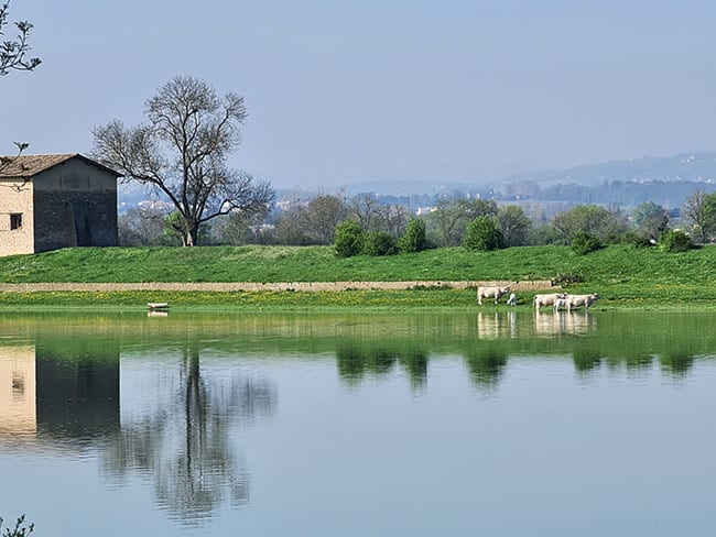 veloroute beaujolais