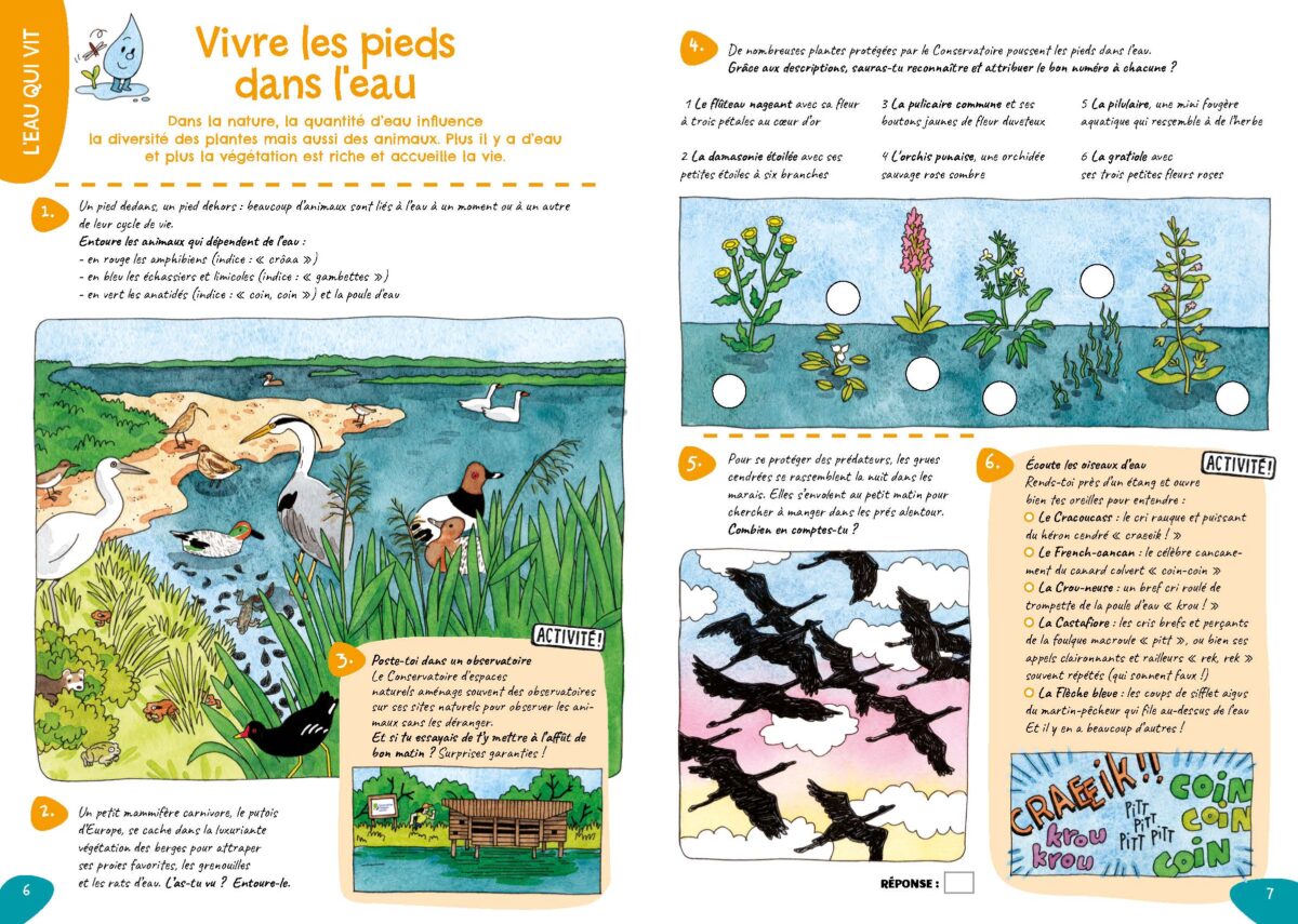 cahier de jeux sur la nature
