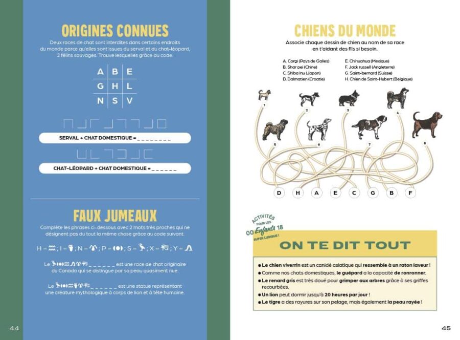 cahier de vacances qui change Jeux et carnet de voyage pour les enfants en vadrouille