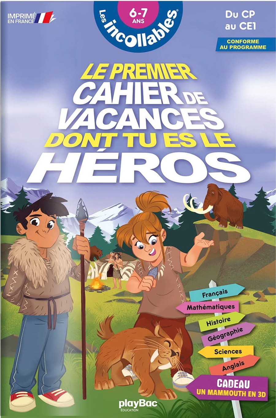 le premier cahier de vacances dont tu es le héros avis
