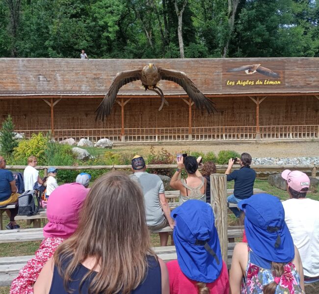 les aigles du léman spectacle