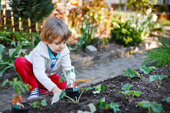 creche jardin pedagogique