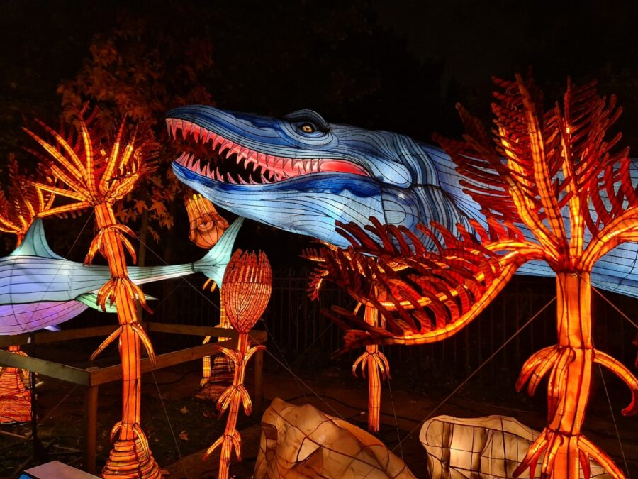 jurassique en voie d'illumination avis