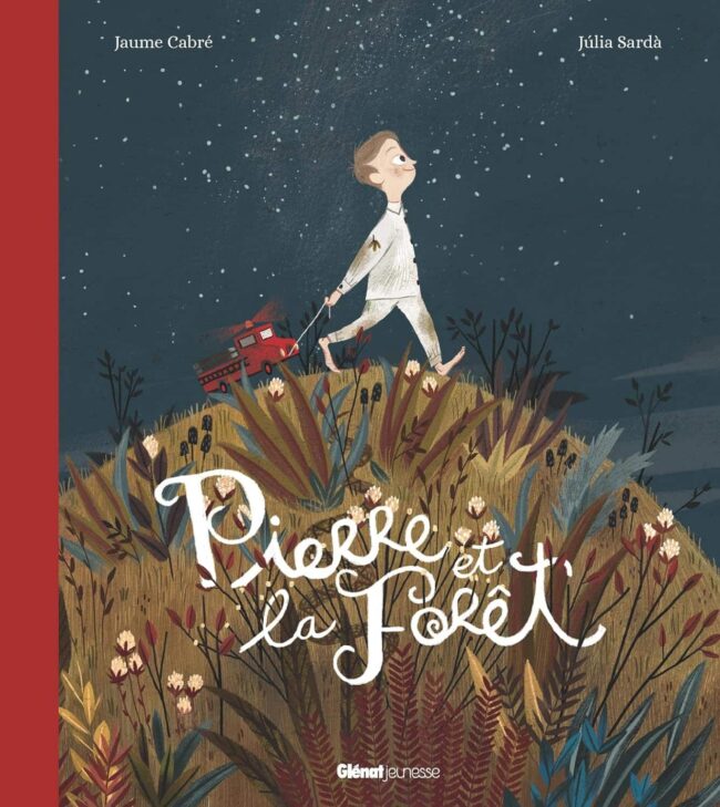 pierre et la forêt livre