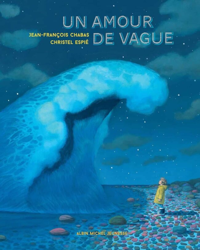 un amour de vague albin michel jeunesse 