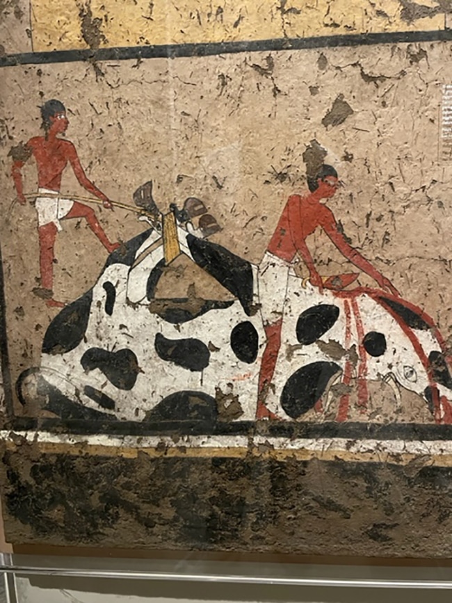 musée égyptien de turin