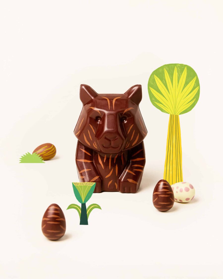chocolat de paques 2026 chapon lili la tigresse