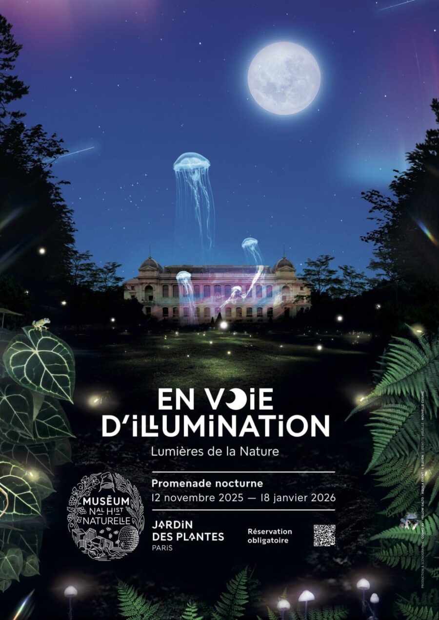 jardin des plantes illuminations 2025 avis